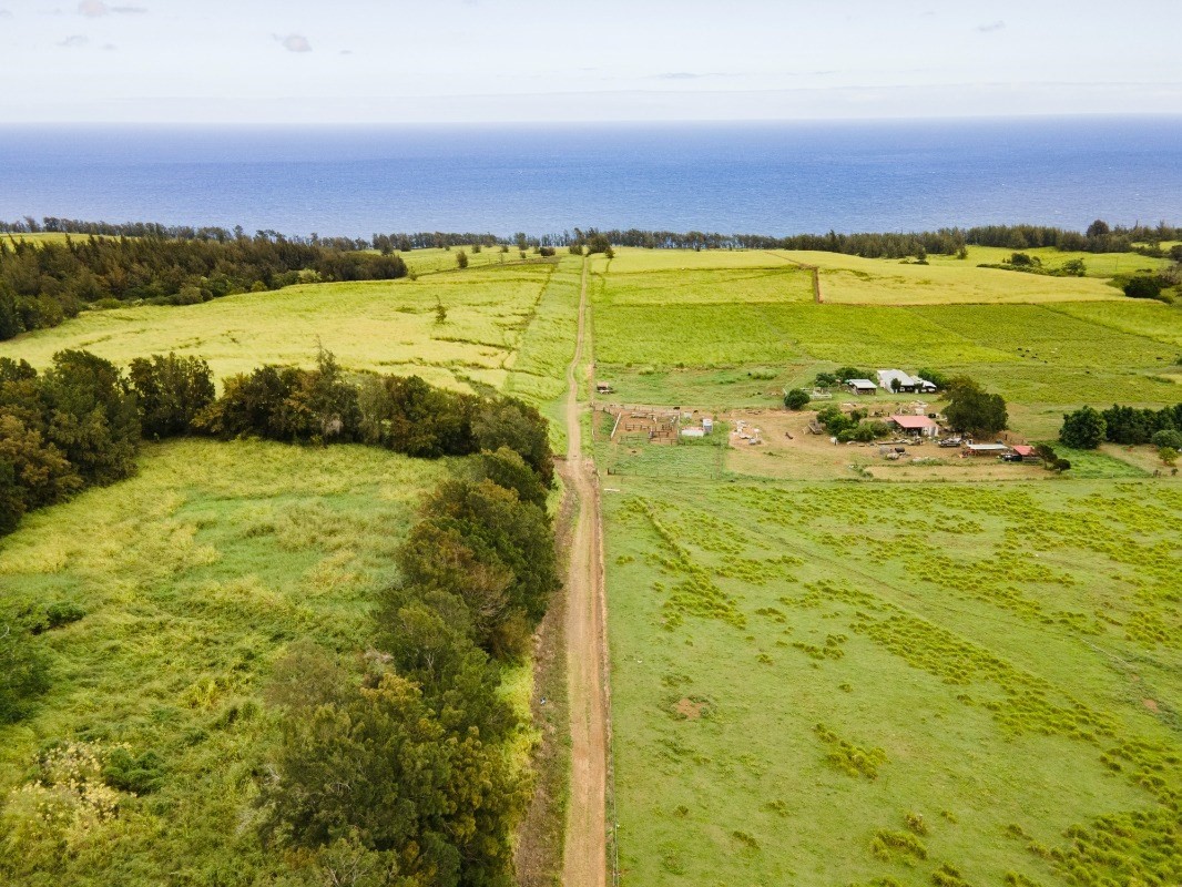 11 C Lot Road Honokaa, HI 96727 - Photo 2 of 7 Gallery Image 2