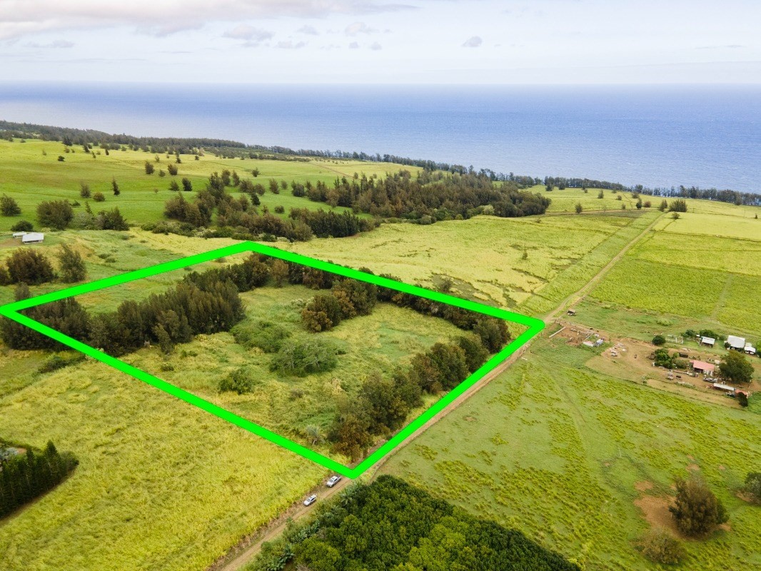 11 C Lot Road Honokaa, HI 96727 - Photo 3 of 7 Gallery Image 3