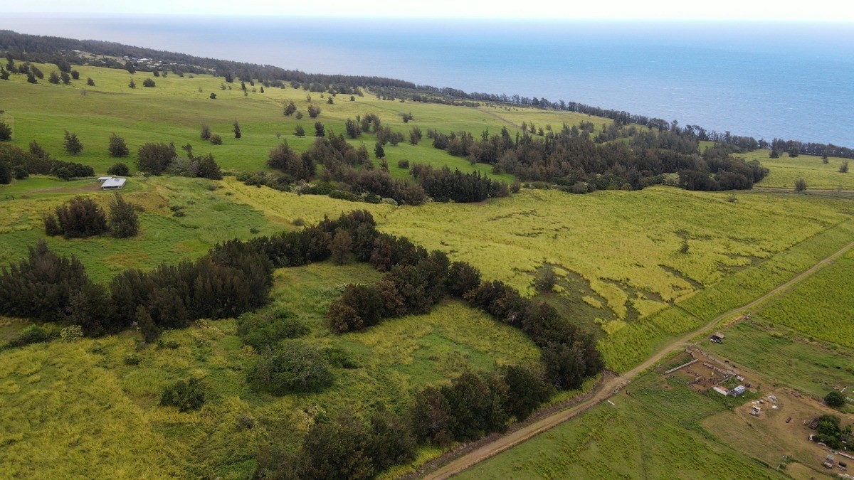 11 C Lot Road Honokaa, HI 96727 - Photo 6 of 7 Gallery Image 6