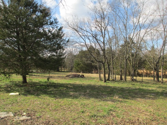 1804 Phillips Road Lebanon, TN 37087 - Photo 6 of 29