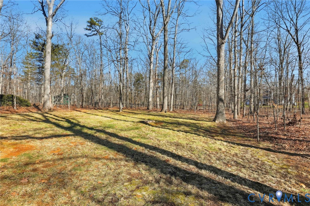 3264 Sherwood Ridge Way Powhatan, VA 23139 - Photo 38 of 40 a view of a house with a yard