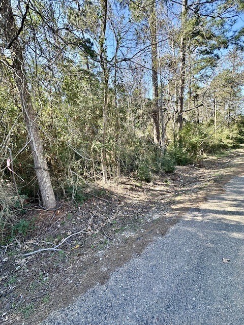 a view of a yard with a tree