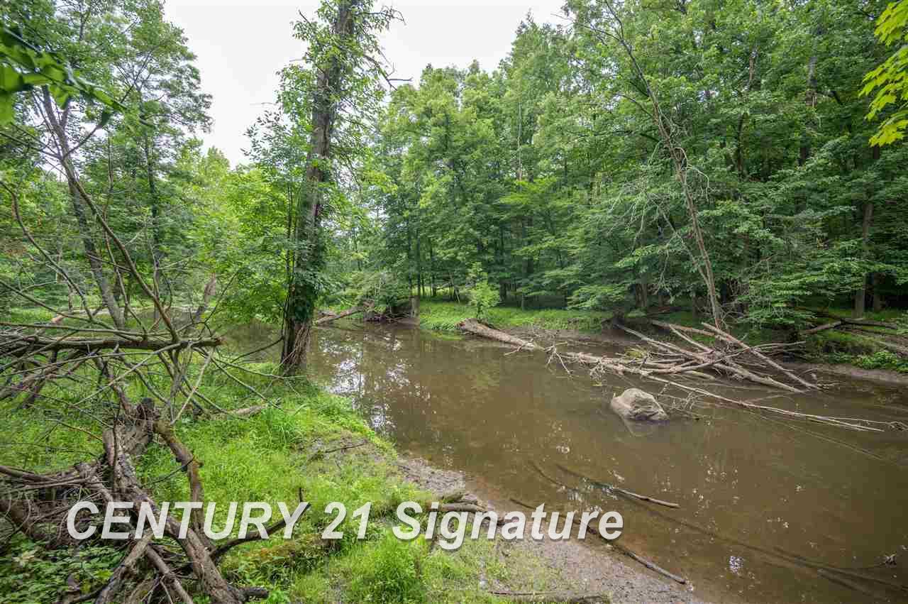 7795 South Meridian Road Bannister, MI 48807 - Photo 53 of 85