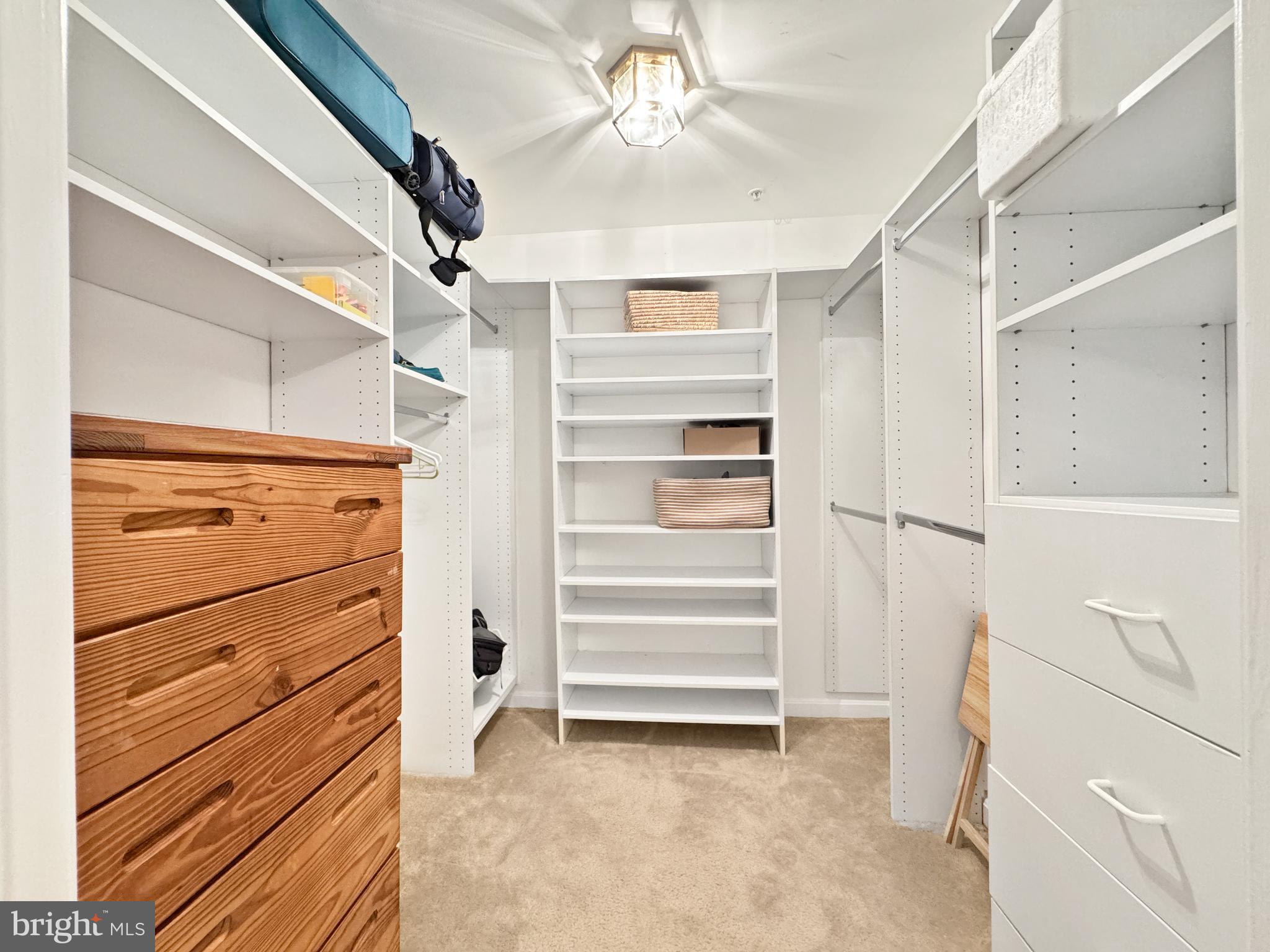 103 Timberbrook Lane, Unit 104 Gaithersburg, MD 20878 - Photo 18 of 35 a view of walk in closet with empty racks