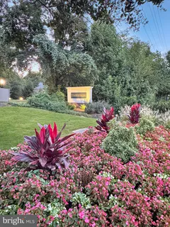 a view of a street with cars on road