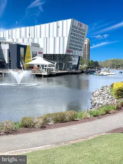 a view of a flower in a yard