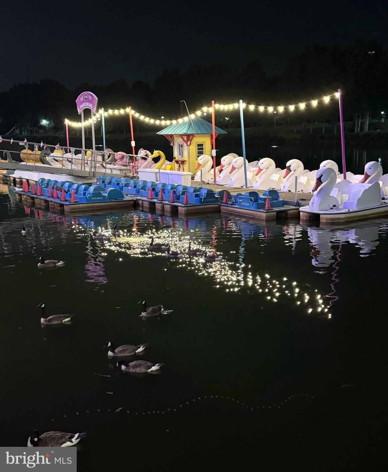 103 Timberbrook Lane, Unit 104 Gaithersburg, MD 20878 - Photo 32 of 35 a store room with water fountain and large trees