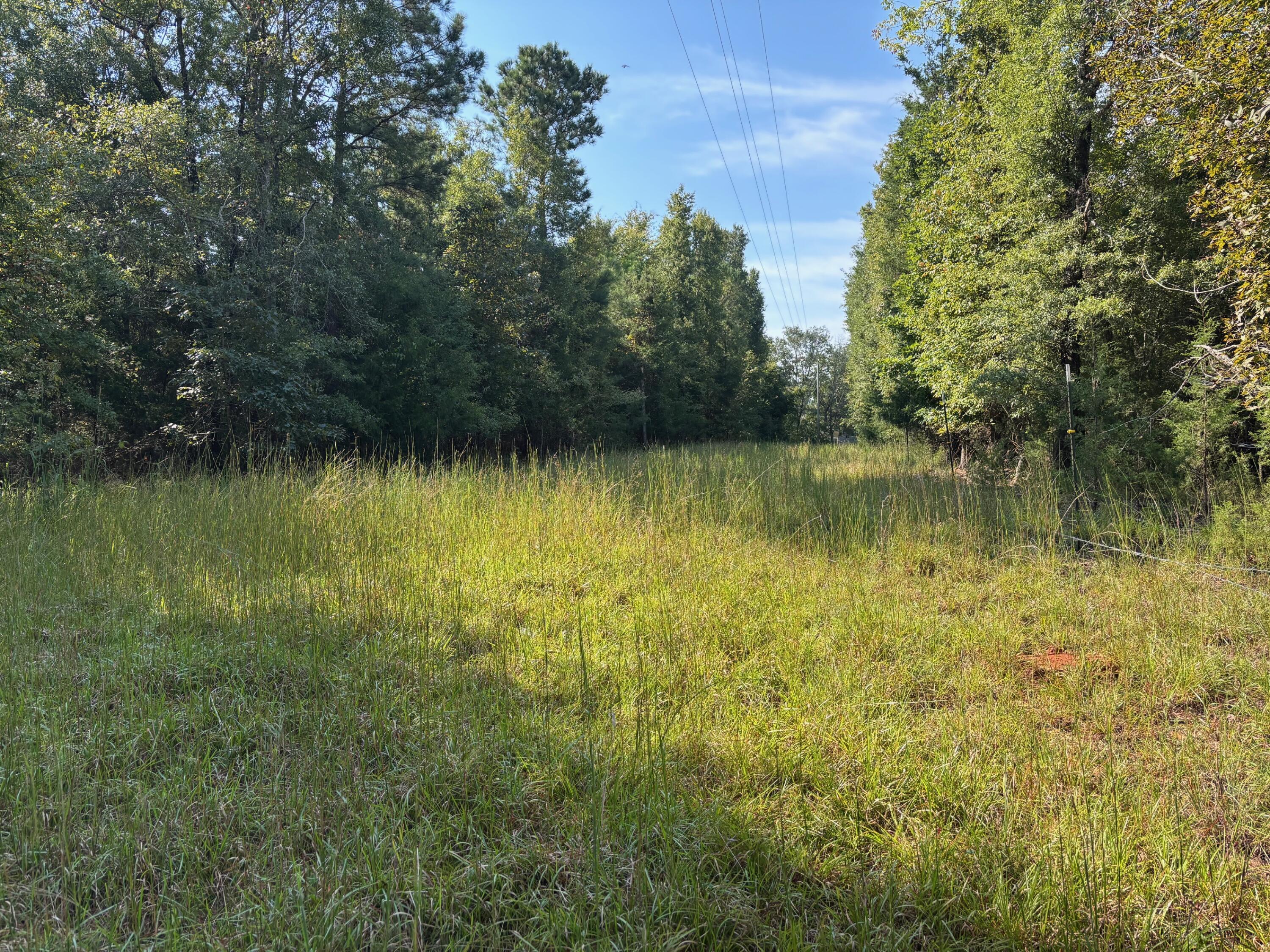 1460 Whitetown Road McCormick, SC 29835 - Photo 5 of 12