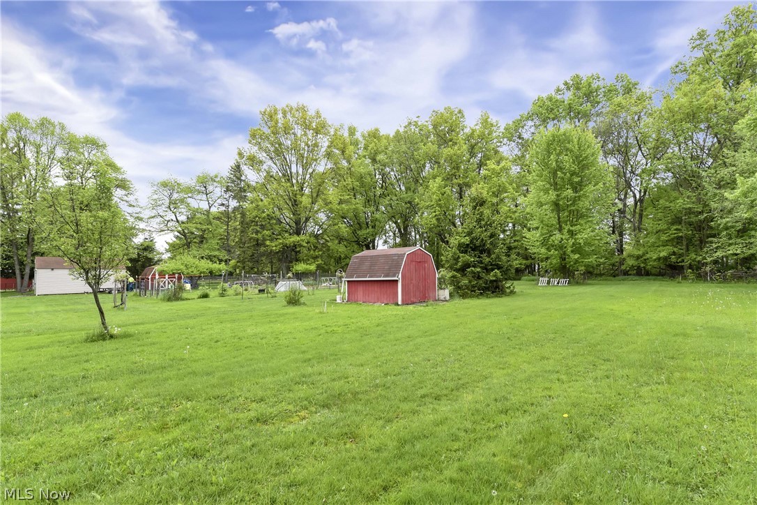 14593 Turney Road Maple Heights, OH 44137 - Photo 36 of 45 View of yard with an outdoor structure