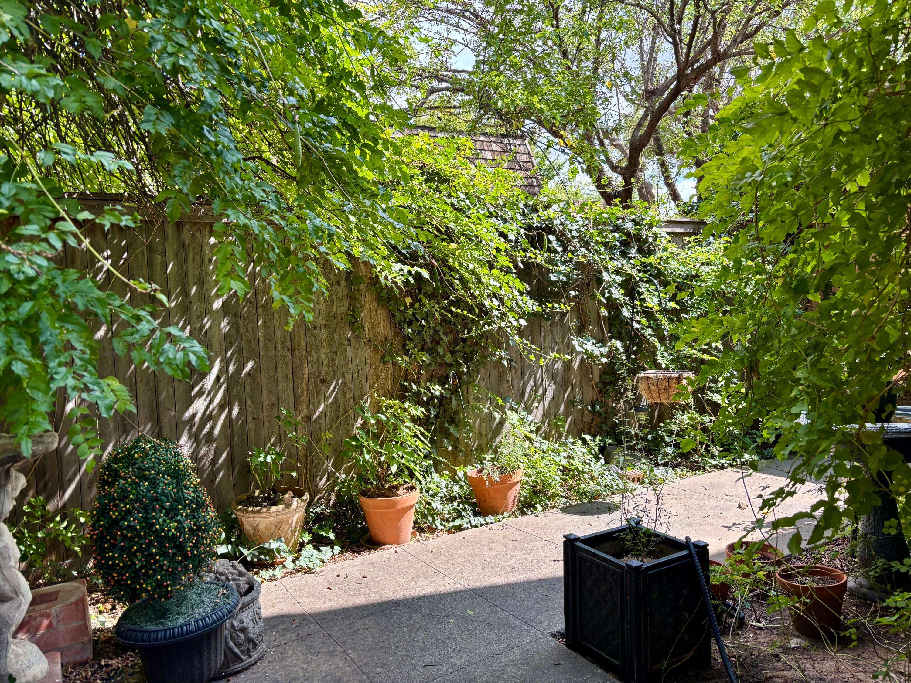 1615 South Bryan Street, Unit 9 Amarillo, TX 79102 - Photo 4 of 4 Patio