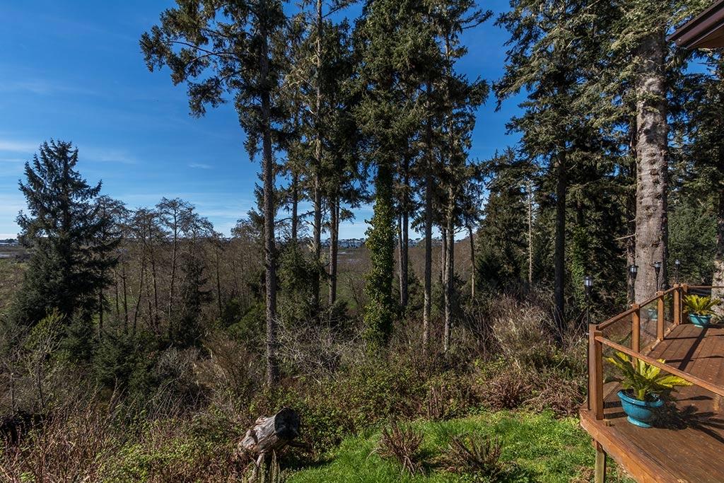 1260 Walker Point Road Eureka, CA 95503 - Photo 91 of 114 98