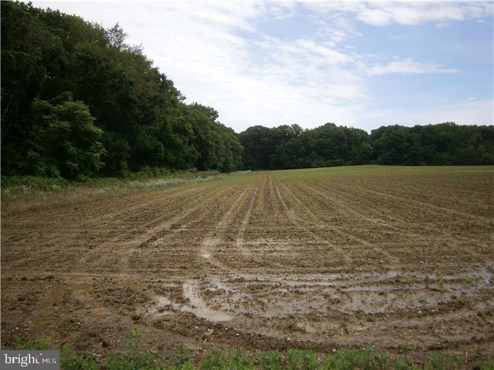 8 Fenwick Road Woodstown, NJ 08098 - Photo 2 of 7