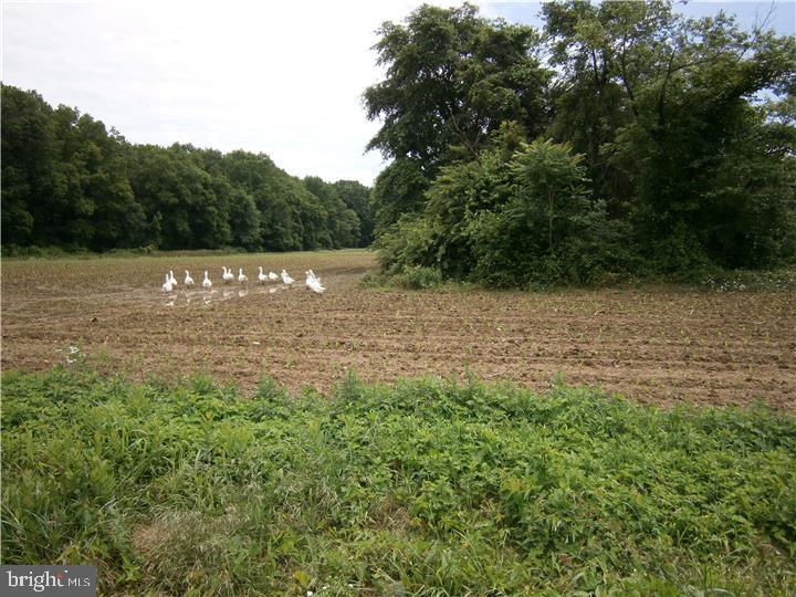 8 Fenwick Road Woodstown, NJ 08098 - Photo 3 of 7