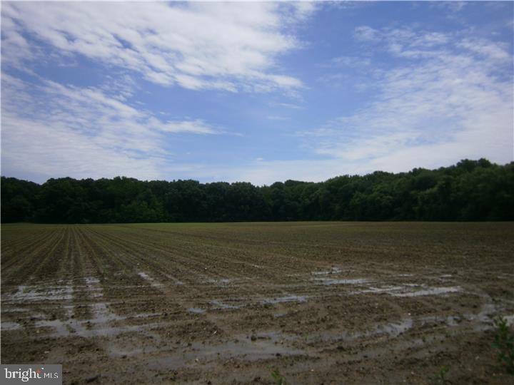 8 Fenwick Road Woodstown, NJ 08098 - Photo 4 of 7