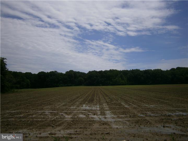 8 Fenwick Road Woodstown, NJ 08098 - Photo 5 of 7