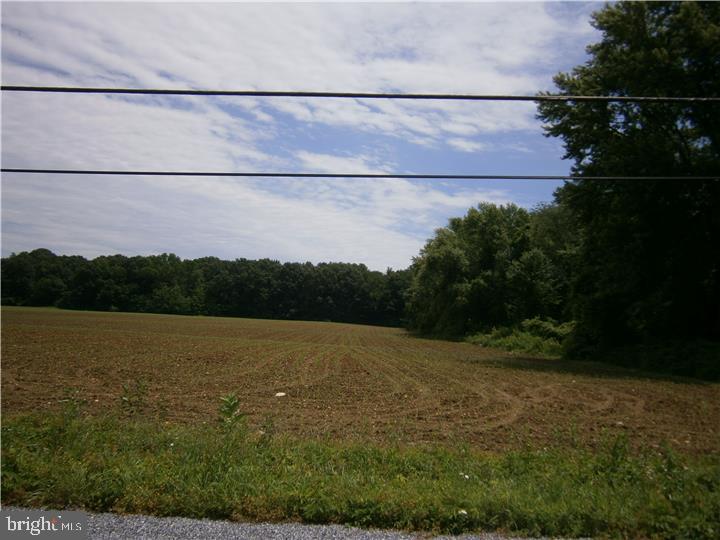 8 Fenwick Road Woodstown, NJ 08098 - Photo 6 of 7