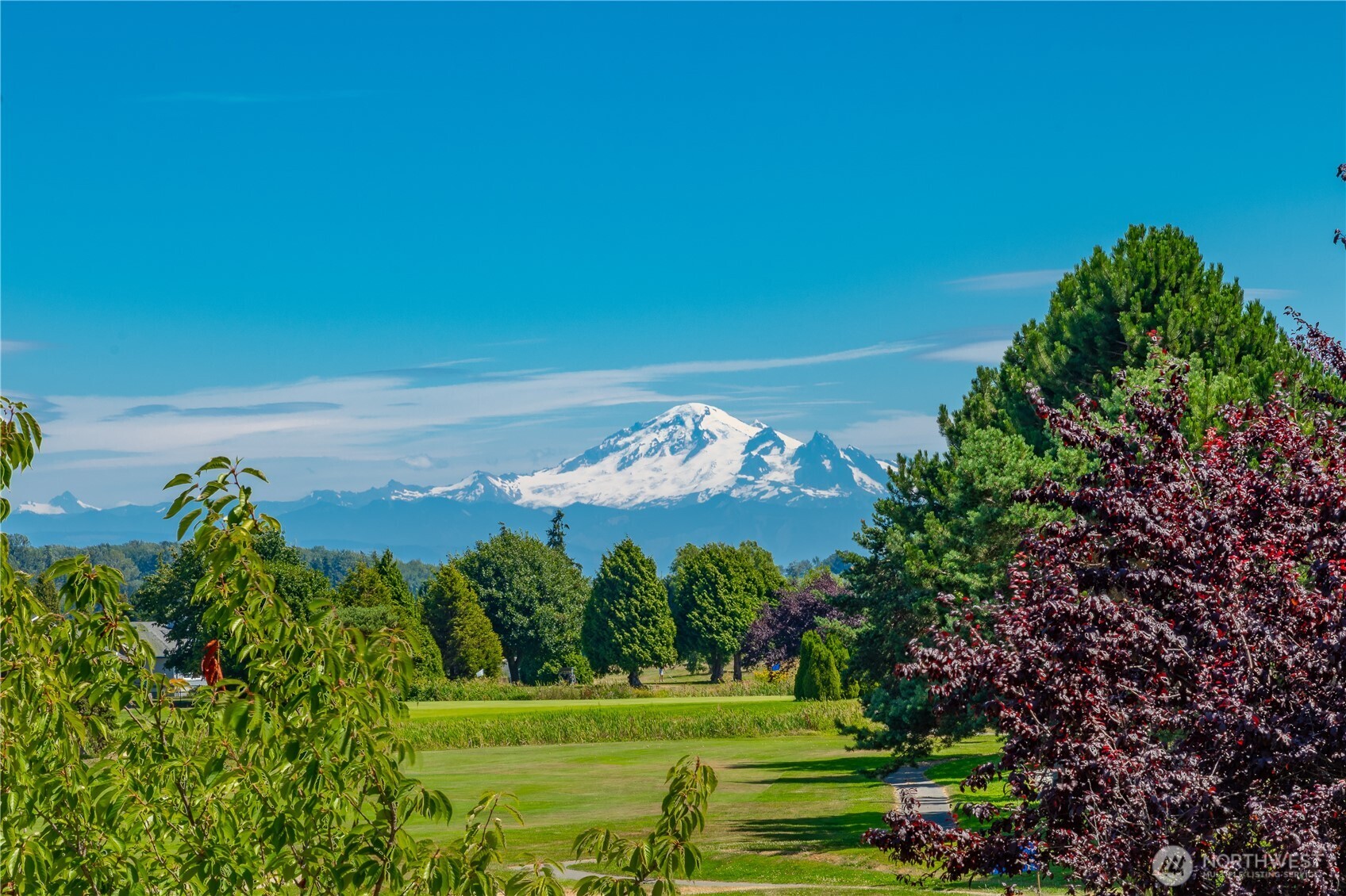 8209 Comox Road Birch Bay, WA 98230 - Photo 22 of 24 a view of a big yard with potted plants and large tree
