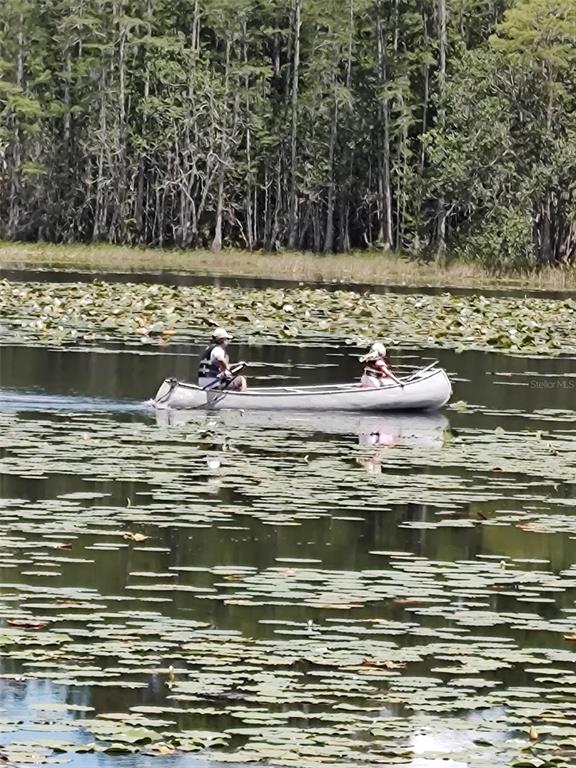 1045 Buckles Road Pierson, FL 32180 - Photo 14 of 25 a view of water view