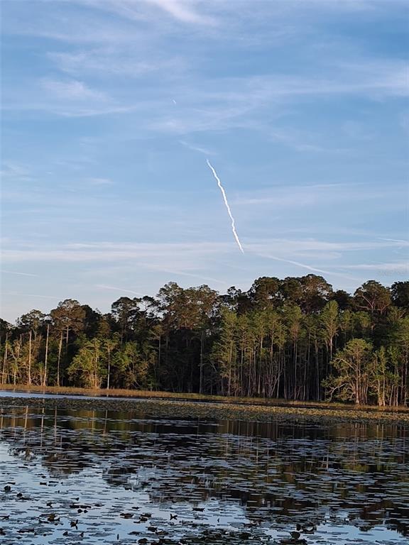 1045 Buckles Road Pierson, FL 32180 - Photo 15 of 25 a view of a lake