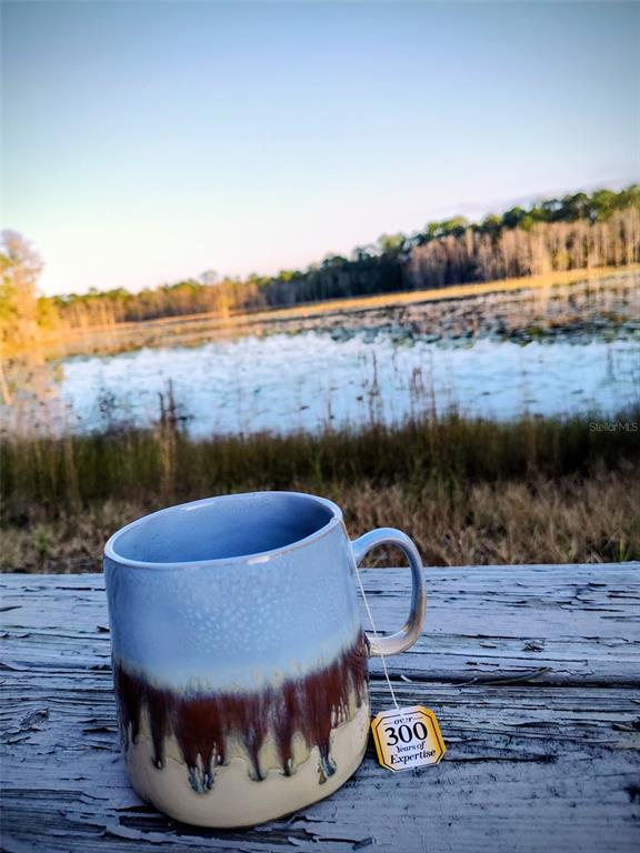 1045 Buckles Road Pierson, FL 32180 - Photo 17 of 25 a view of outdoor space and lake view