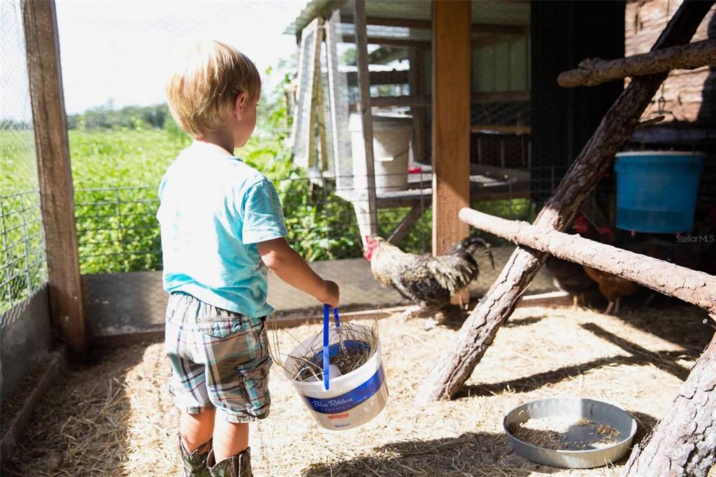 1045 Buckles Road Pierson, FL 32180 - Photo 22 of 25 a vase of flowers sitting on a table with chairs
