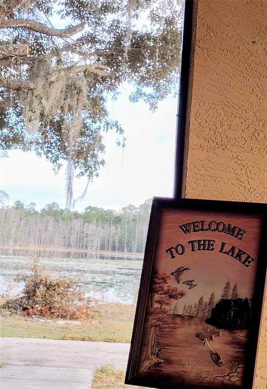 1045 Buckles Road Pierson, FL 32180 - Photo 25 of 25 a view of a wooden floor with a tree