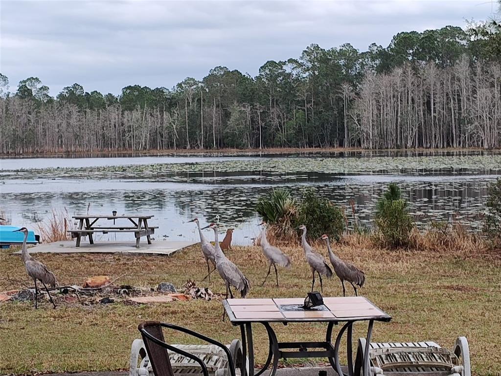 1045 Buckles Road Pierson, FL 32180 - Photo 3 of 25 a view of a chairs and table on the lake