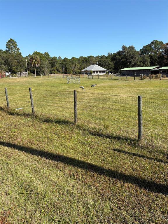 1045 Buckles Road Pierson, FL 32180 - Photo 4 of 25 a view of a lake with a mountain
