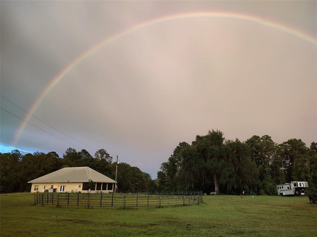 1045 Buckles Road Pierson, FL 32180 - Photo 5 of 25 a view of a green field with trees in the background
