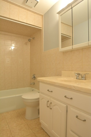 8251 South Roberts Road, Unit 1D Bridgeview, IL 60455 - Photo 16 of 18