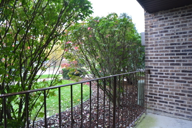 8251 South Roberts Road, Unit 1D Bridgeview, IL 60455 - Photo 18 of 18