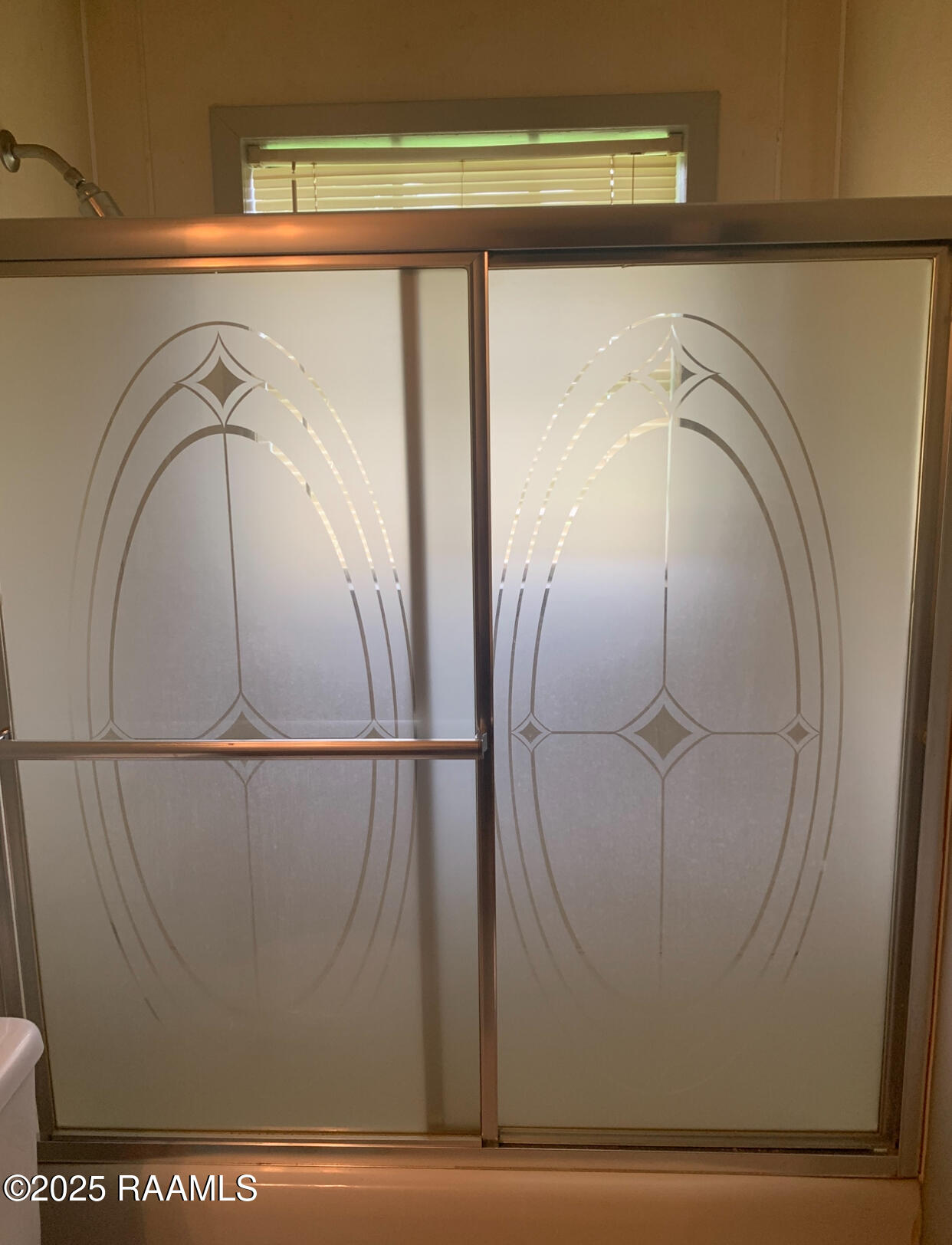 6607 Gondron Road New Iberia, LA 70563 - Photo 22 of 28 Master Bath Shower