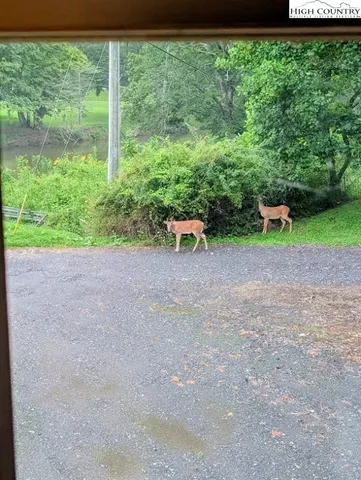 a view of a backyard with porch