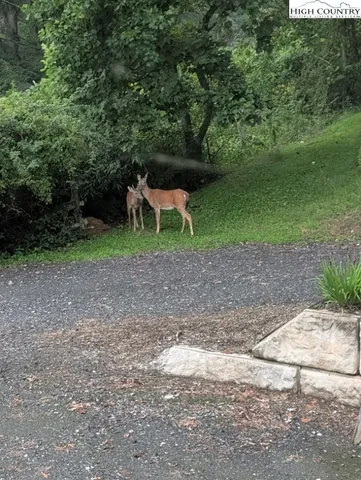 $1,675,000 | 262 Lemly Road, Fleetwood, NC 28626