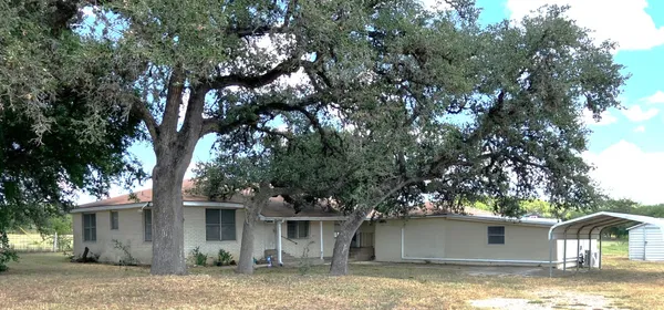 a view of a yard with a house and a large tree
