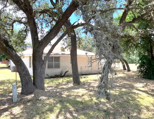a backyard of a house with a tree and yard