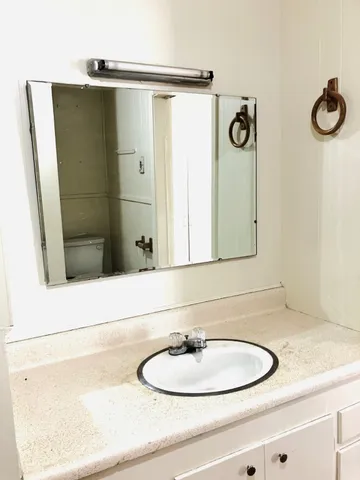 a bathroom with a sink and a mirror