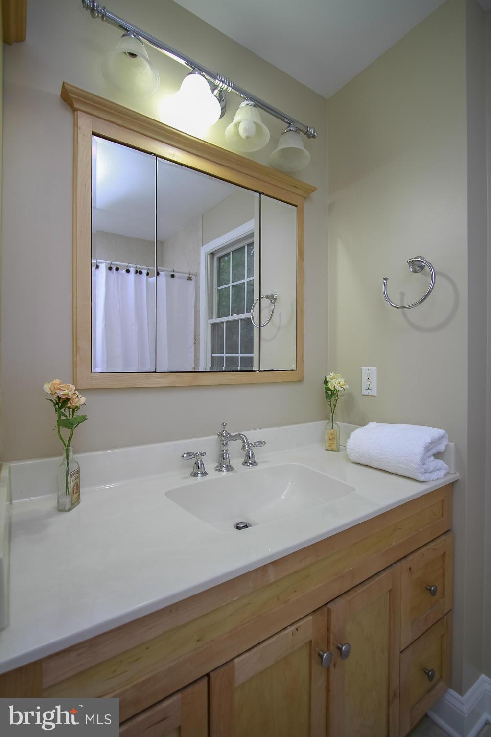 930 Litchfield Road Baltimore, MD 21239 - Photo 15 of 24 a bathroom with a sink and a mirror