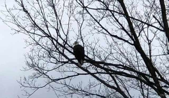 $389,900 | 435 County Rte 30, Williamstown, NY 13302