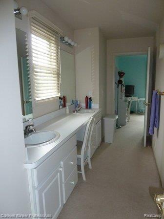 3891 Kaeleaf Road Lake Orion, MI 48360 - Photo 20 of 27 Jack and Jill Bathroom.jpg