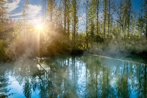 $950,000 | 14941 Deadmans Flat Road, Grass Valley, CA 95949