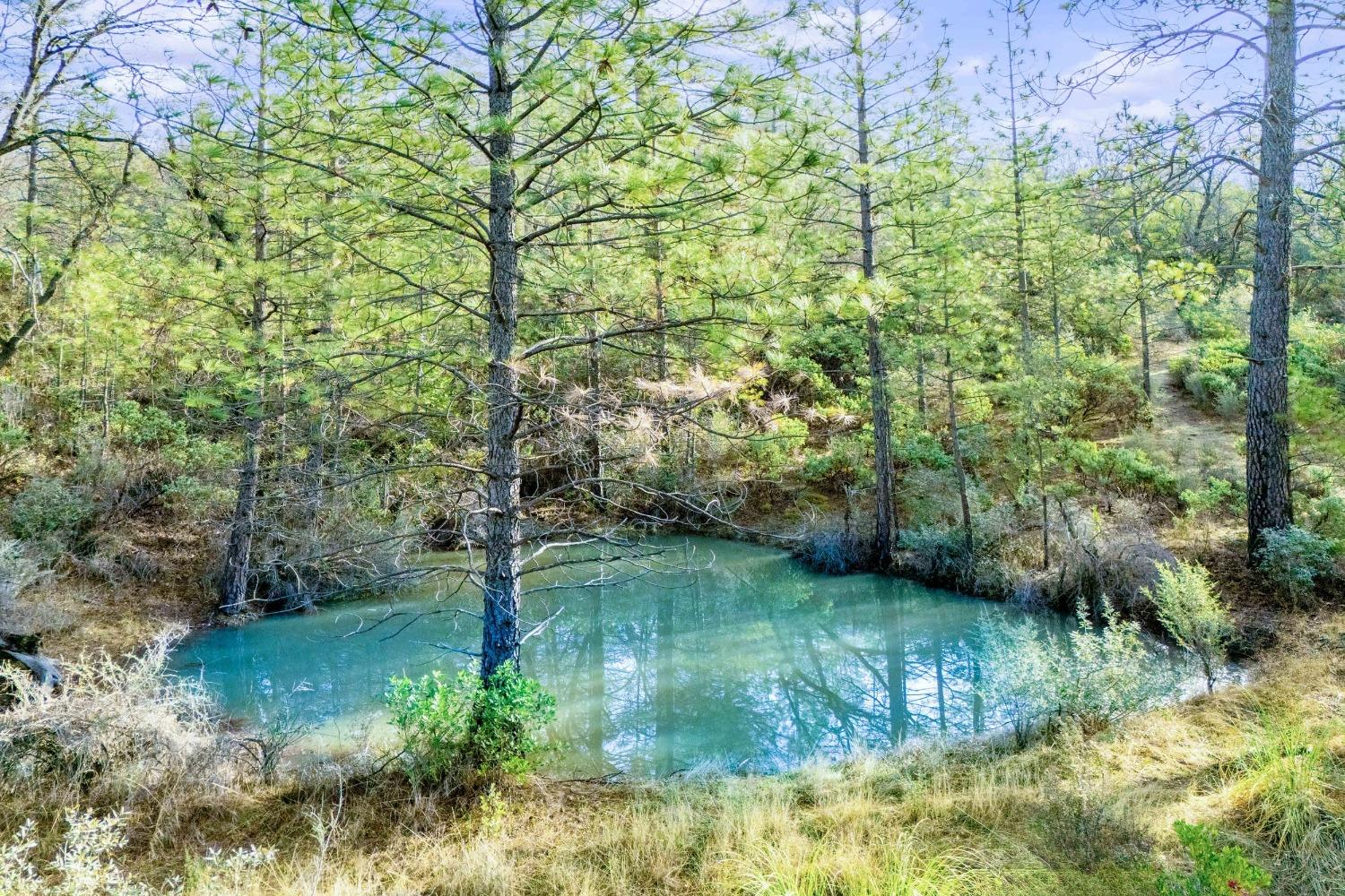 14941 Deadmans Flat Road Grass Valley, CA 95949 - Photo 12 of 45 a view of lake with green space