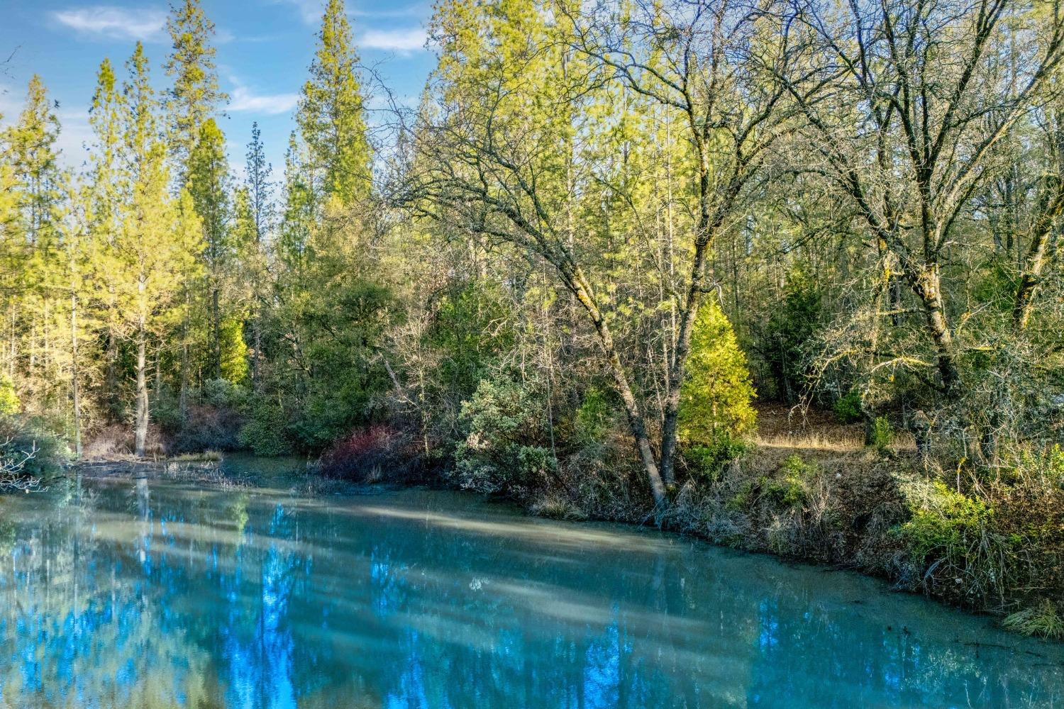 14941 Deadmans Flat Road Grass Valley, CA 95949 - Photo 13 of 45 a view of a green field with plants