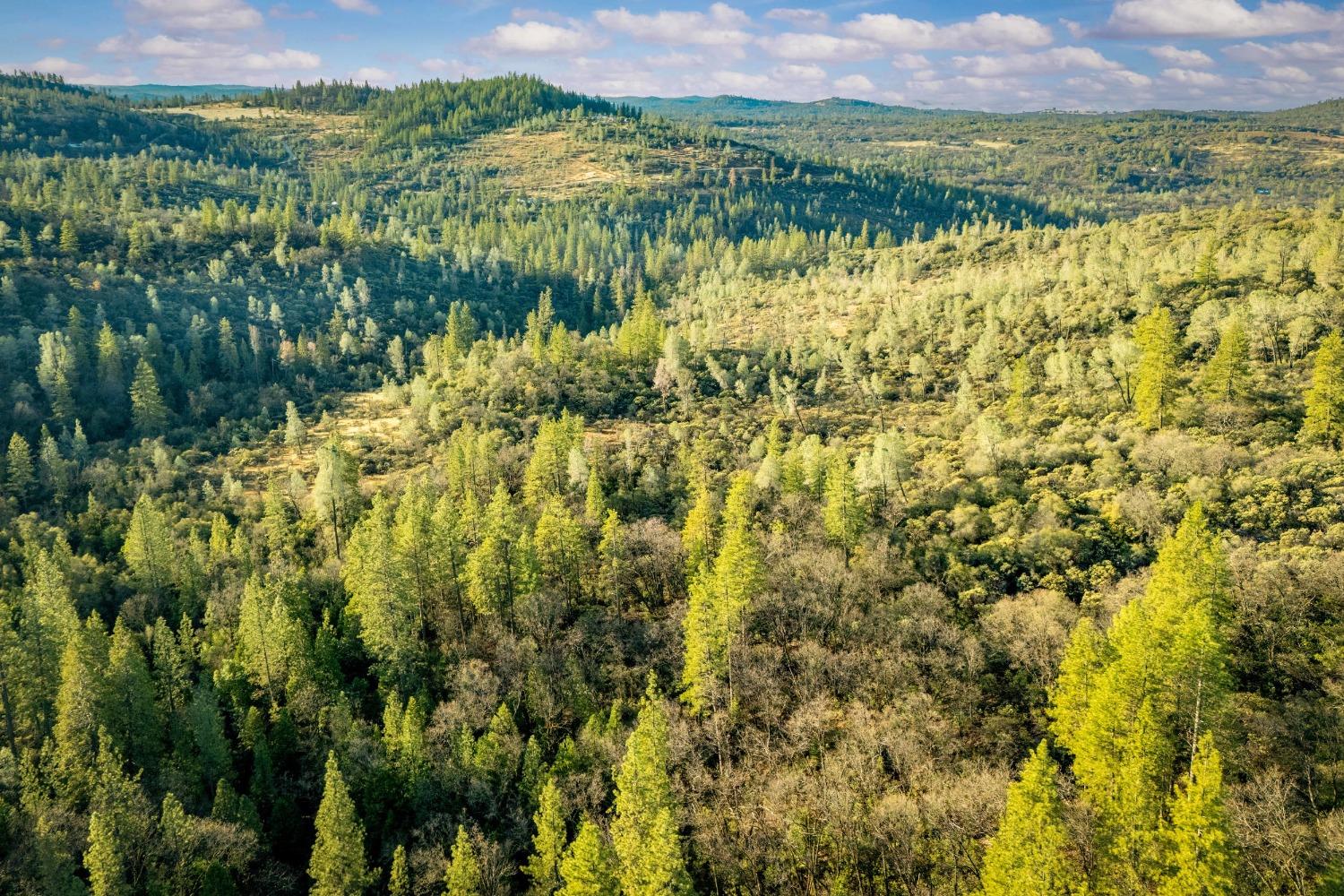 14941 Deadmans Flat Road Grass Valley, CA 95949 - Photo 14 of 45 a view of lake and mountain