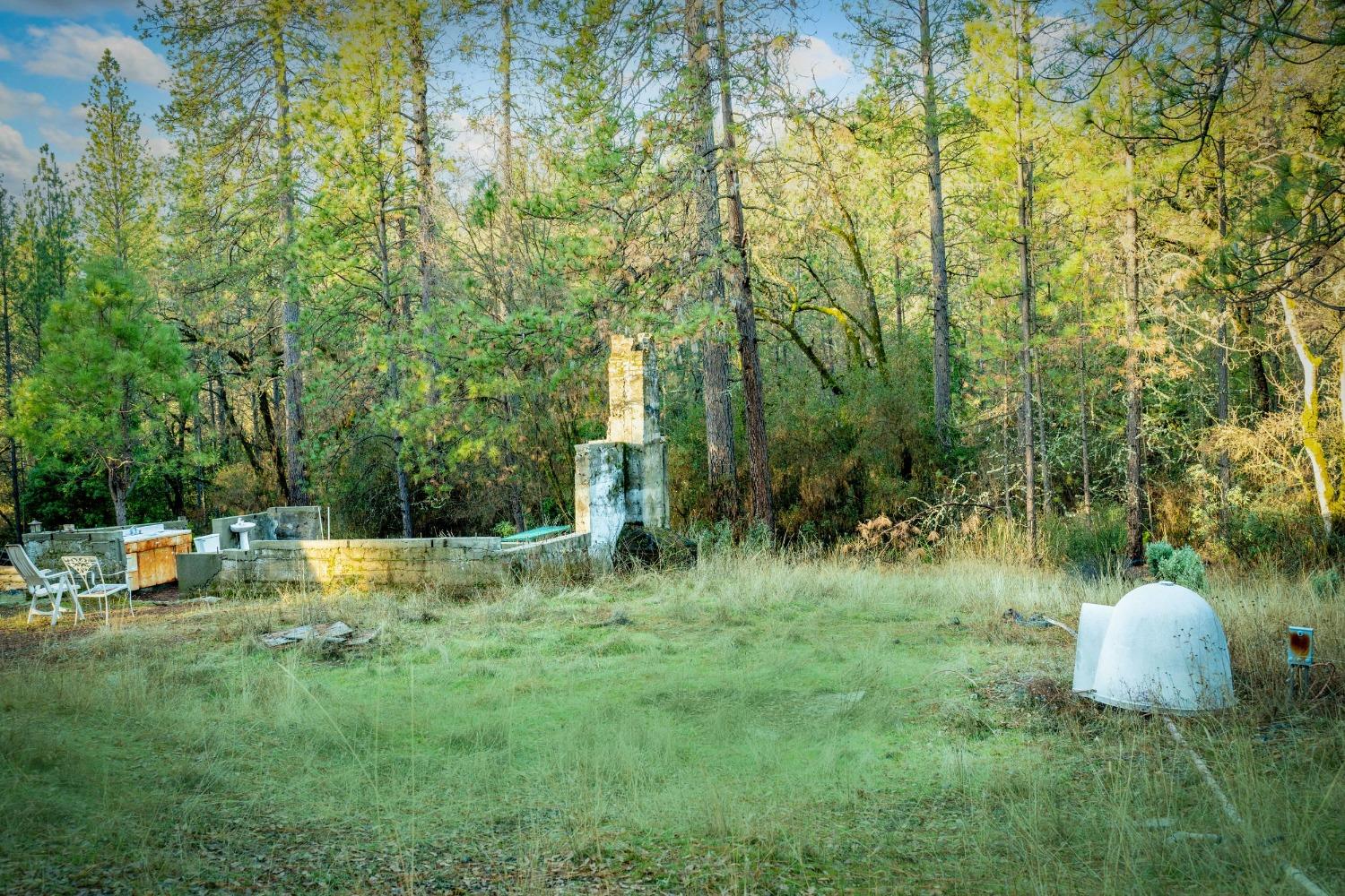 14941 Deadmans Flat Road Grass Valley, CA 95949 - Photo 18 of 45 a view of a garden with a patio