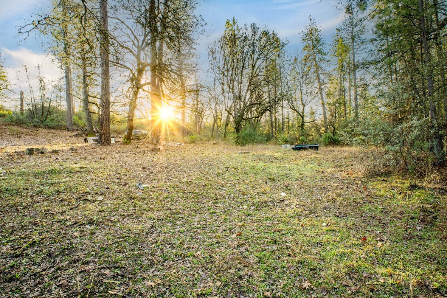 14941 Deadmans Flat Road Grass Valley, CA 95949 - Photo 2 of 45 a view of a yard with trees