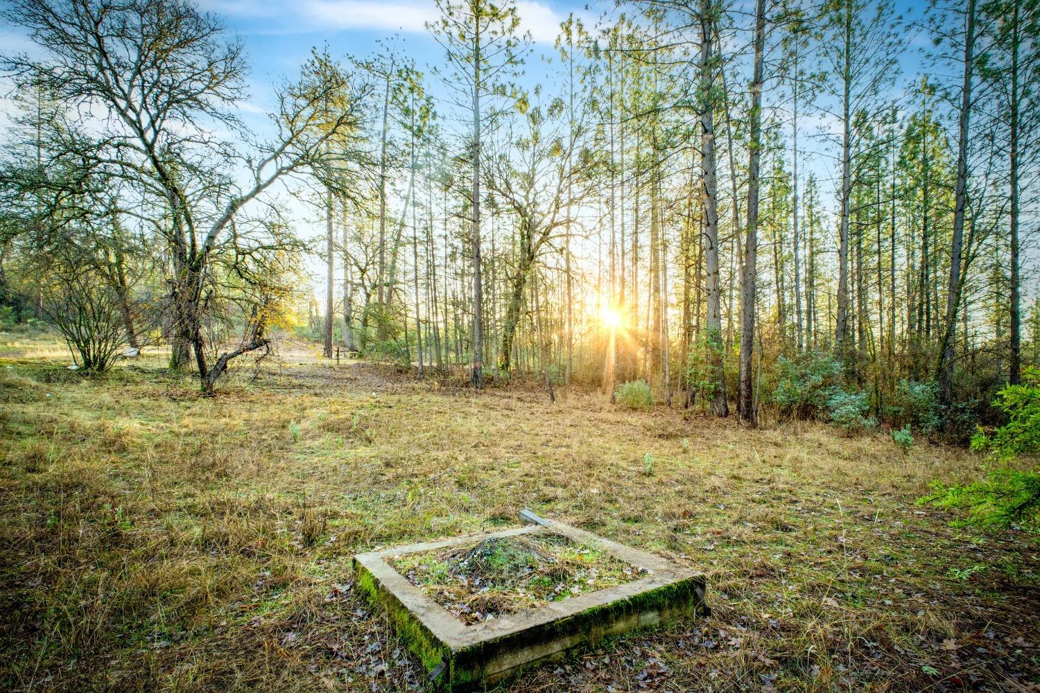 14941 Deadmans Flat Road Grass Valley, CA 95949 - Photo 23 of 45 a view of a backyard with large trees