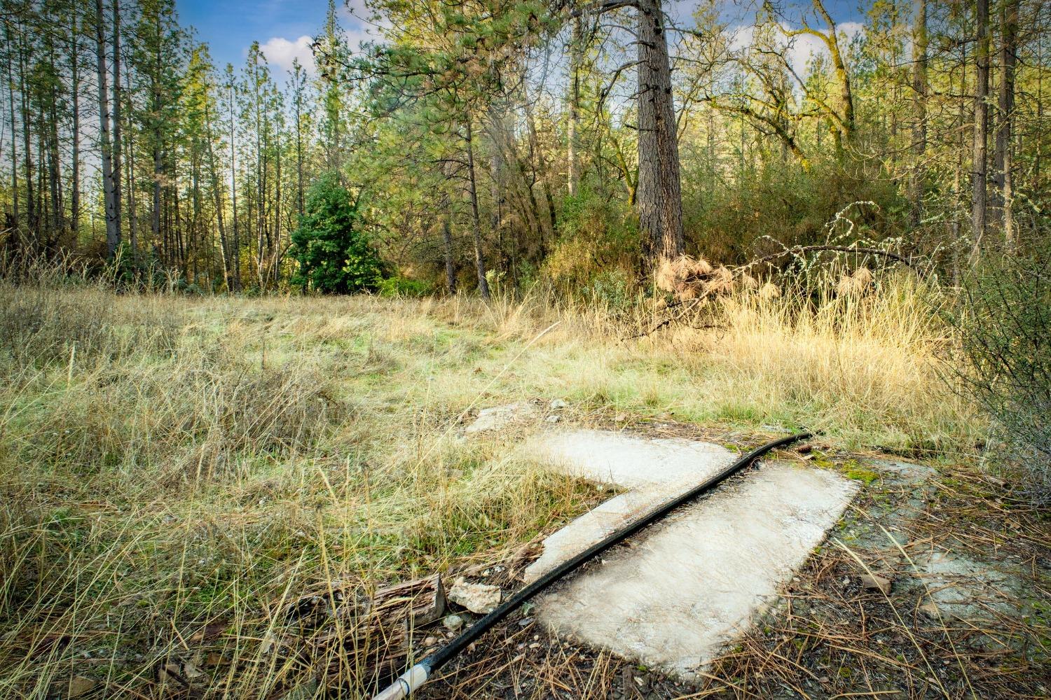 14941 Deadmans Flat Road Grass Valley, CA 95949 - Photo 24 of 45 a view of swimming pool next to a yard