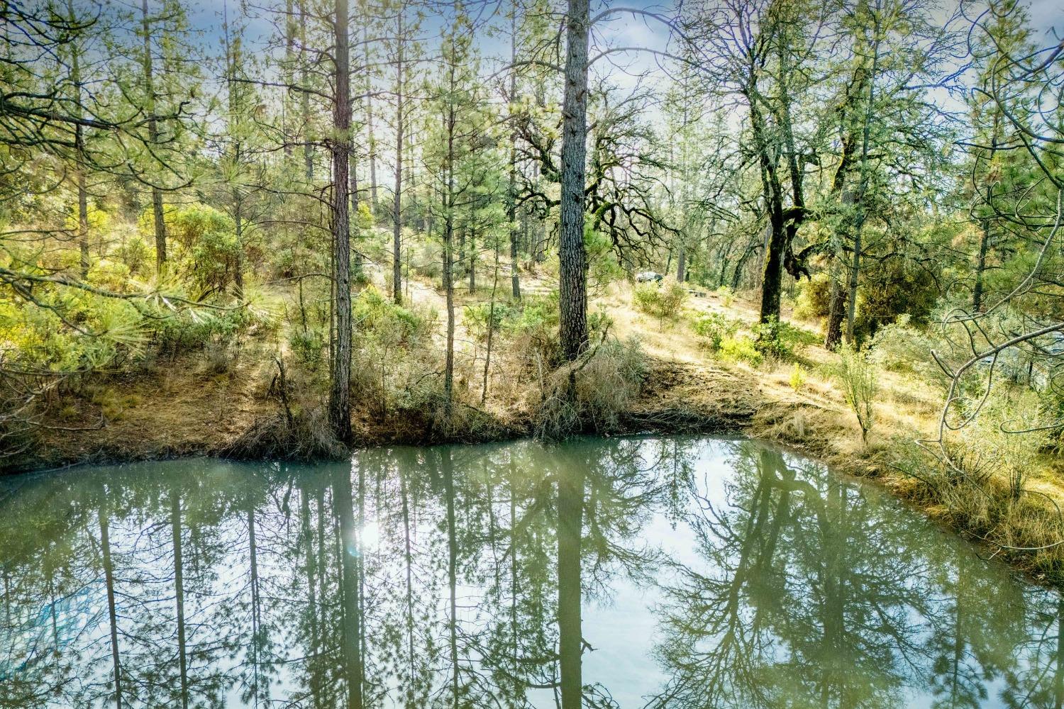 14941 Deadmans Flat Road Grass Valley, CA 95949 - Photo 26 of 45 a view of a lake from a yard