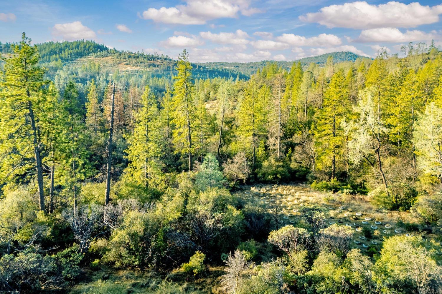 14941 Deadmans Flat Road Grass Valley, CA 95949 - Photo 28 of 45